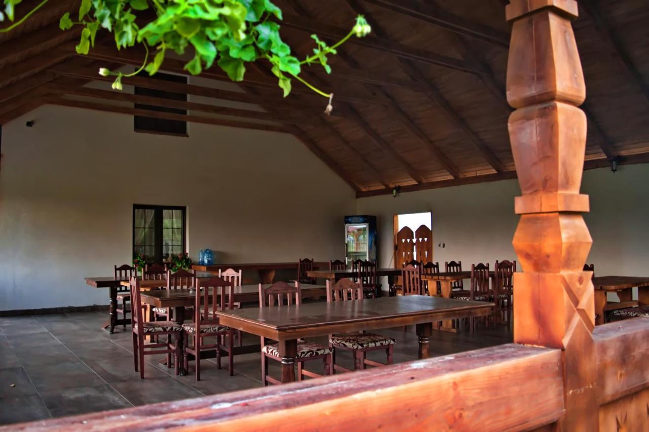 Conacul Cosaului Feresti Exterior foto